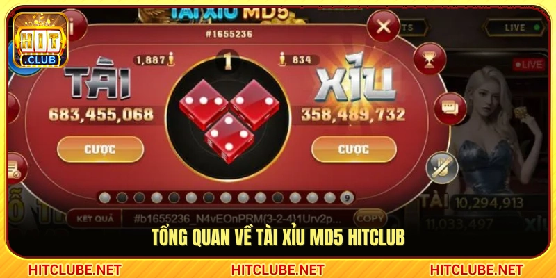 Giới thiệu hình thức tài xỉu MD5 Hitclub 